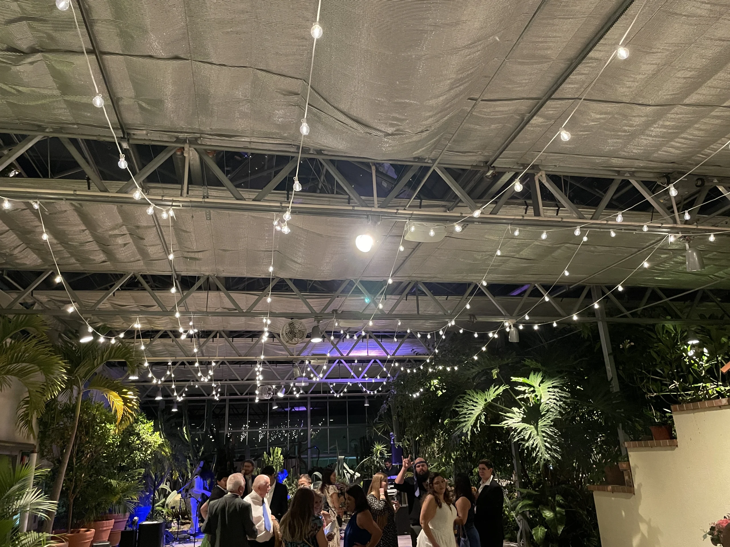 Its Lit RI provides bistro lighting at roger Williams park botanical garden providence RI decorative wedding lighting