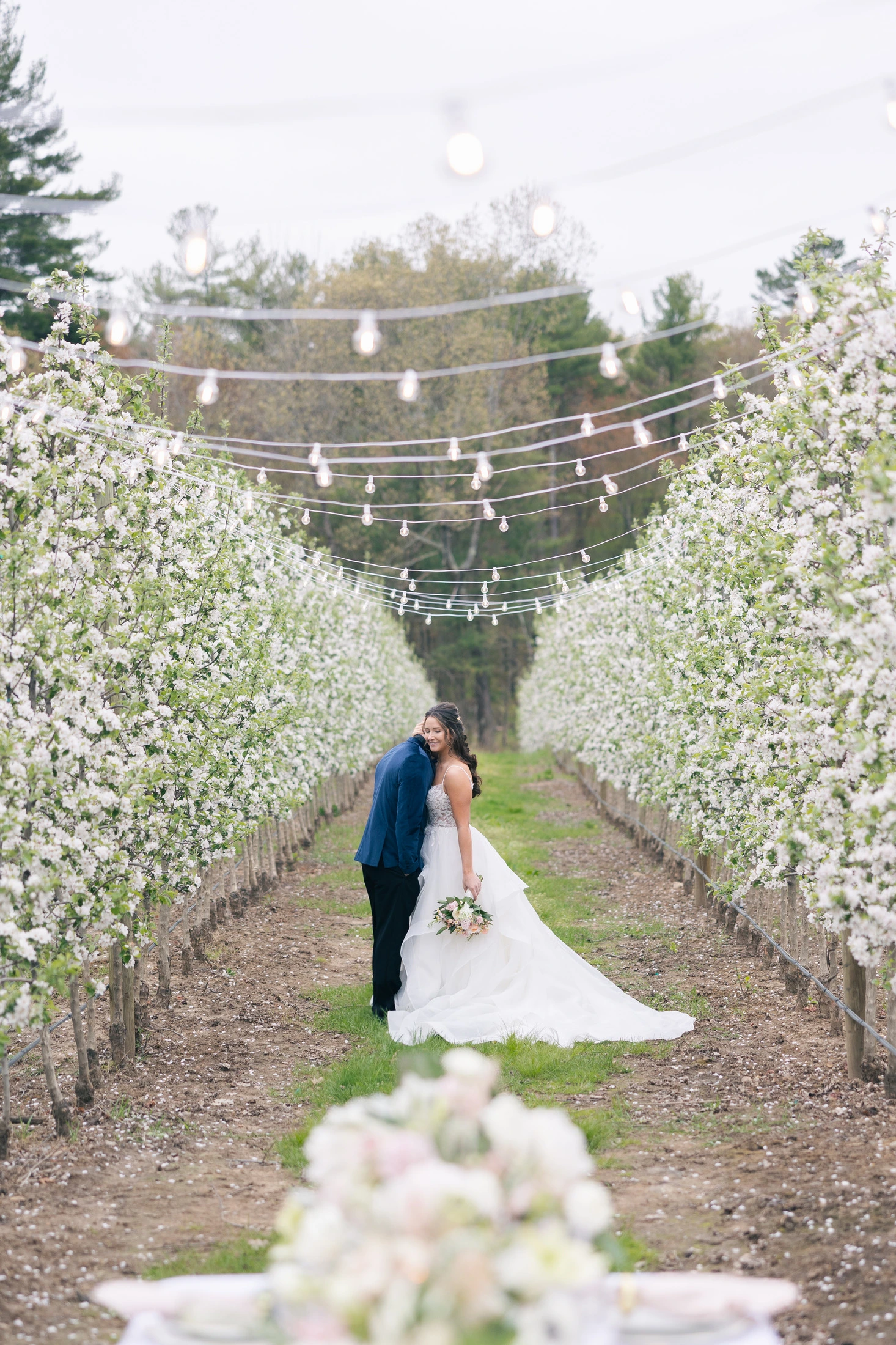event-entertainment-Rhode-Island hanging string lights installed at wedding by Rhode Island company